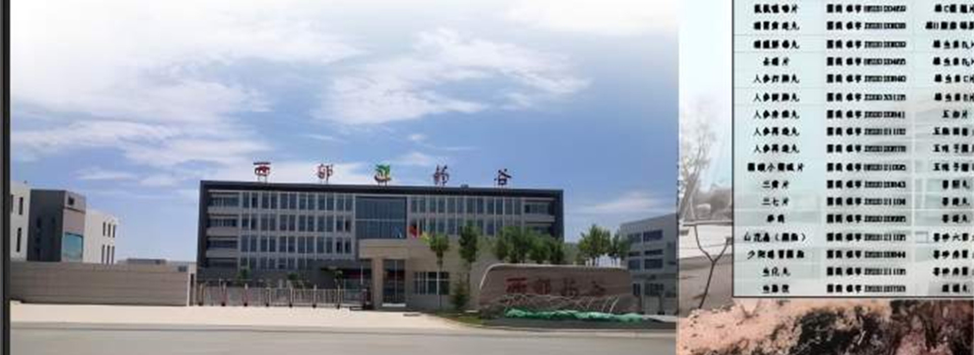 兰州佛慈科创有限公司首页大图
