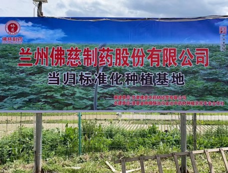我公司当归标准化种植基地获得第十一批国家农业标准化实验项目