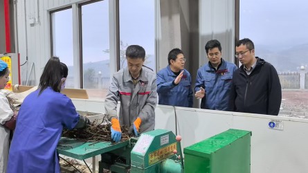公司分采
