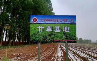 公司风采